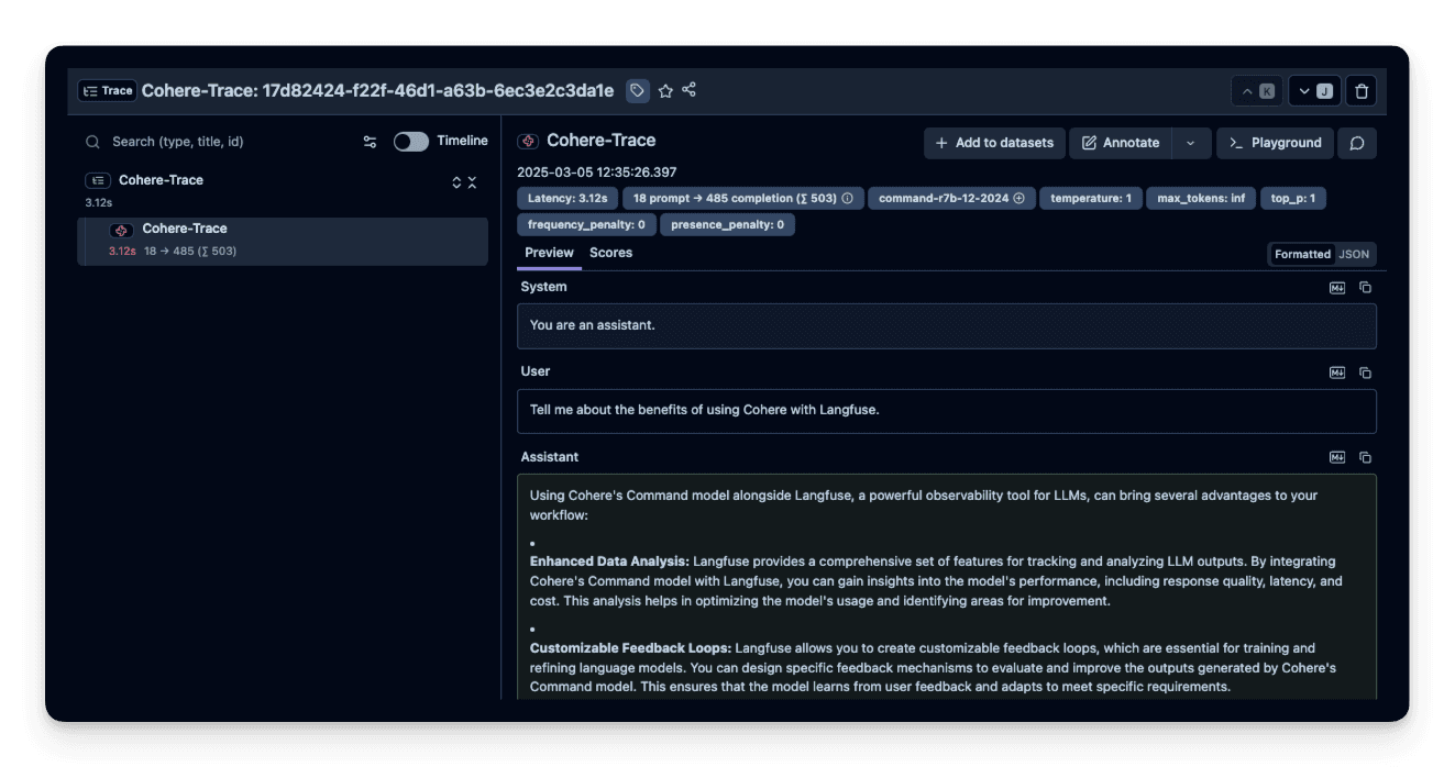 Langfuse Trace Example